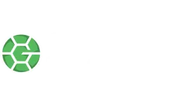 grintafy_logo